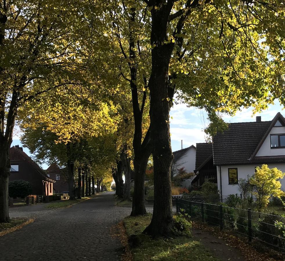 Ferienwohnung Am Holzfeld Schneverdingen Exteriér fotografie